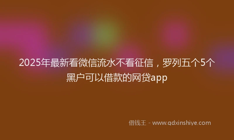 2025年最新看微信流水不看征信，罗列五个5个黑户可以借款的网贷app