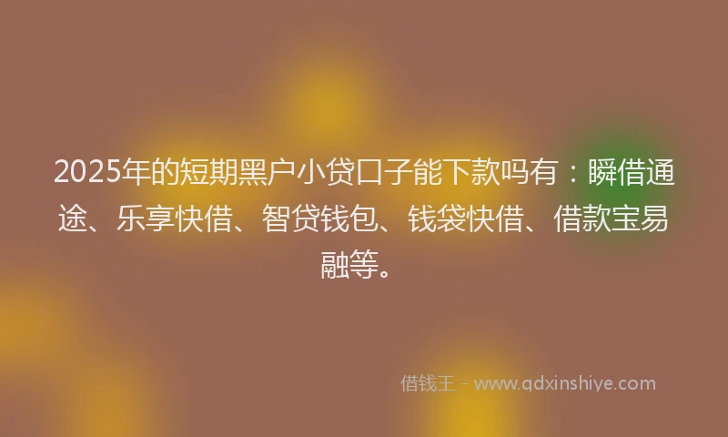 2025年的短期黑户小贷口子能下款吗有：瞬借通途、乐享快借、智贷钱包、钱袋快借、借款宝易融等。