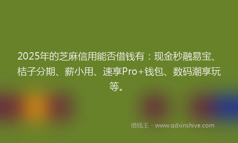 2025年的芝麻信用能否借钱有：现金秒融易宝、桔子分期、薪小用、速享Pro+钱包、数码潮享玩等。