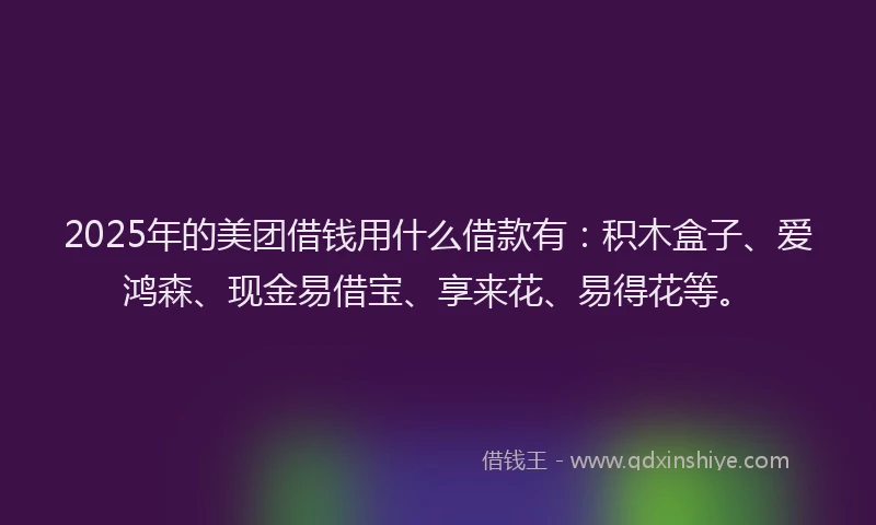 2025年的美团借钱用什么借款有：积木盒子、爱鸿森、现金易借宝、享来花、易得花等。
