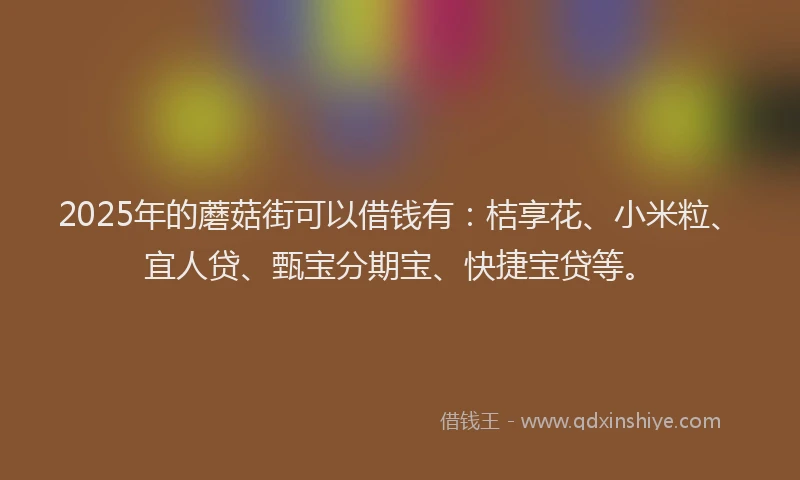 2025年的蘑菇街可以借钱有：桔享花、小米粒、宜人贷、甄宝分期宝、快捷宝贷等。