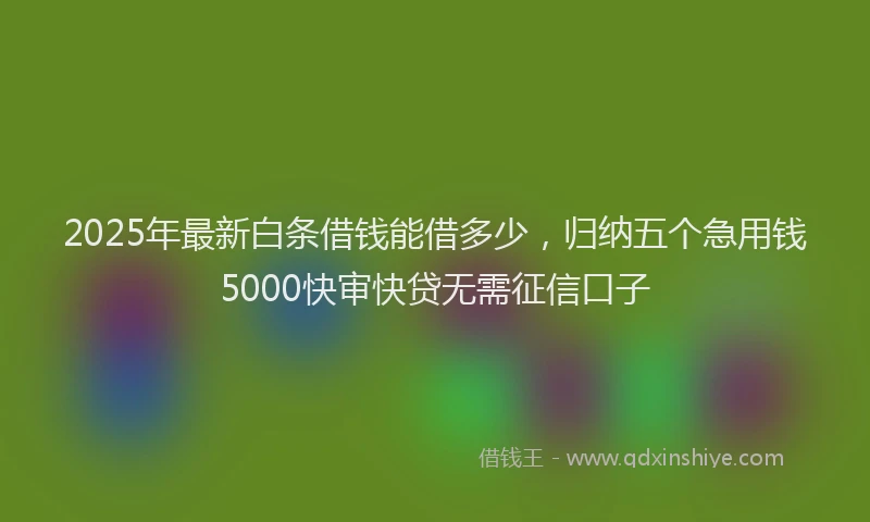 2025年最新白条借钱能借多少，归纳五个急用钱5000快审快贷无需征信口子