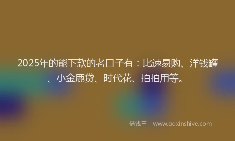 2025年的能下款的老口子有：比速易购、洋钱罐、小金鹿贷、时代花、拍拍用等。