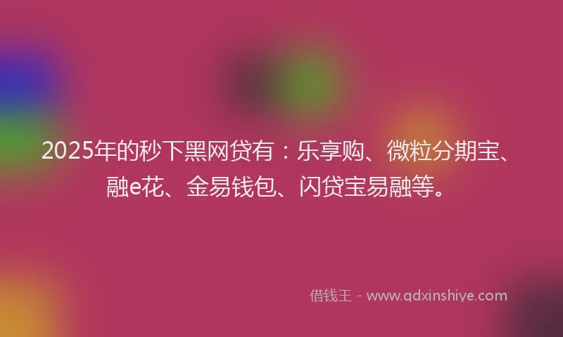 2025年的秒下黑网贷有：乐享购、微粒分期宝、融e花、金易钱包、闪贷宝易融等。