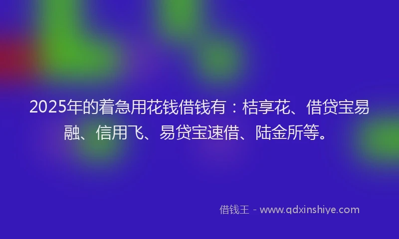 2025年的着急用花钱借钱有：桔享花、借贷宝易融、信用飞、易贷宝速借、陆金所等。