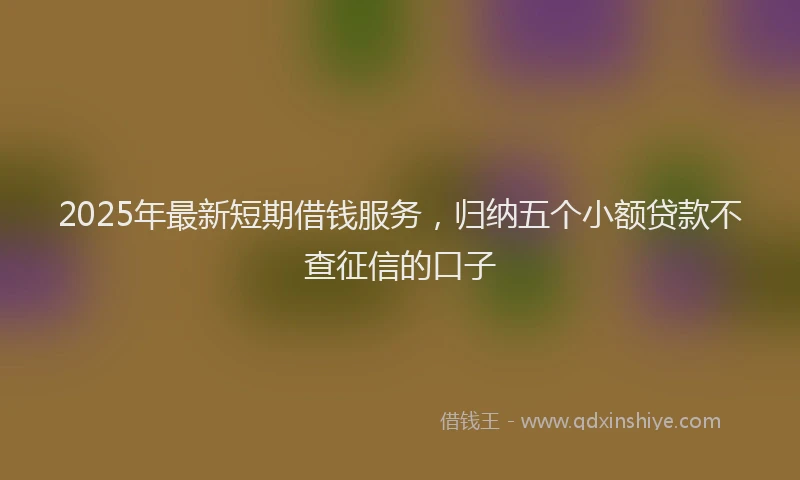 2025年最新短期借钱服务，归纳五个小额贷款不查征信的口子