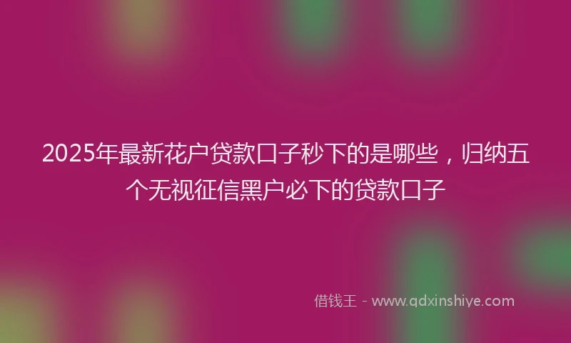 2025年最新花户贷款口子秒下的是哪些，归纳五个无视征信黑户必下的贷款口子
