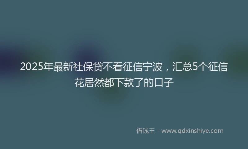 2025年最新社保贷不看征信宁波，汇总5个征信花居然都下款了的口子