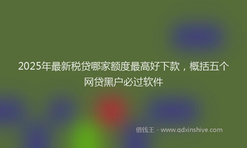 2025年最新税贷哪家额度最高好下款，概括五个网贷黑户必过软件