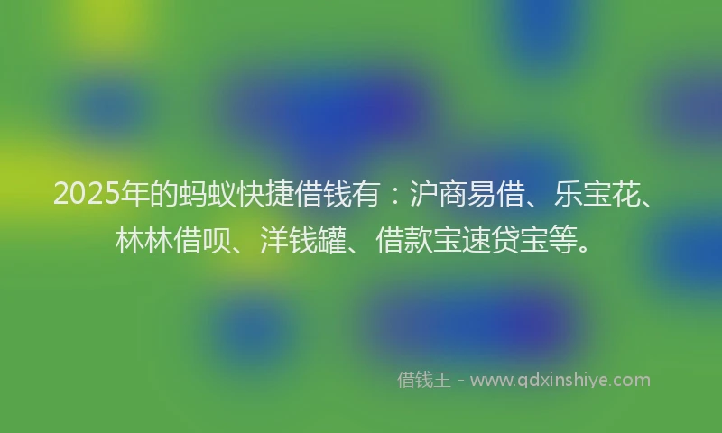 2025年的蚂蚁快捷借钱有：沪商易借、乐宝花、林林借呗、洋钱罐、借款宝速贷宝等。