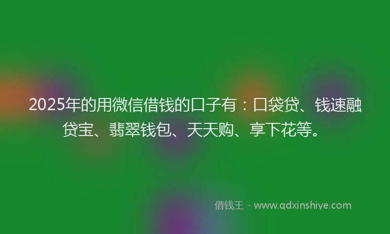 2025年的用微信借钱的口子有：口袋贷、钱速融贷宝、翡翠钱包、天天购、享下花等。