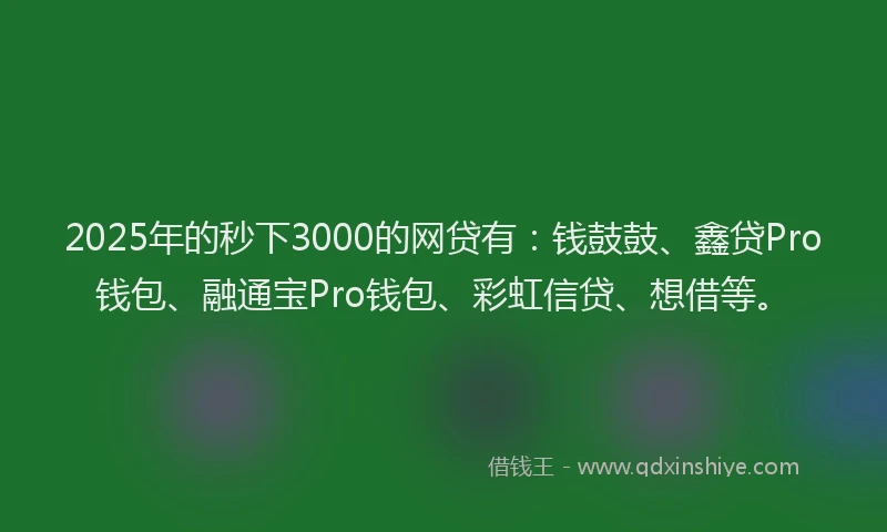 2025年的秒下3000的网贷有：钱鼓鼓、鑫贷Pro钱包、融通宝Pro钱包、彩虹信贷、想借等。