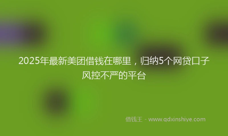2025年最新美团借钱在哪里，归纳5个网贷口子风控不严的平台