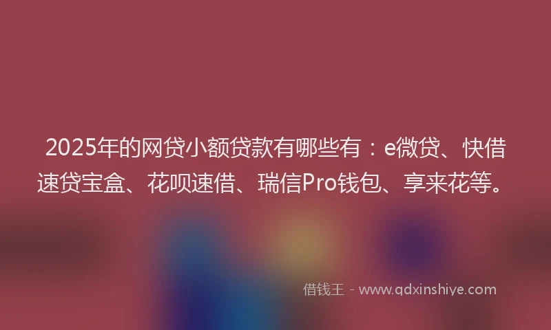 2025年的网贷小额贷款有哪些有：e微贷、快借速贷宝盒、花呗速借、瑞信Pro钱包、享来花等。