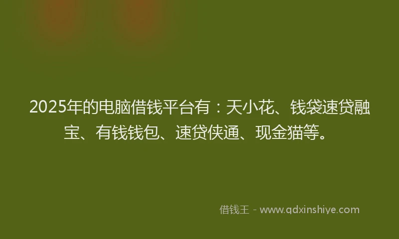 2025年的电脑借钱平台有：天小花、钱袋速贷融宝、有钱钱包、速贷侠通、现金猫等。