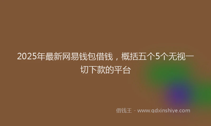 2025年最新网易钱包借钱，概括五个5个无视一切下款的平台