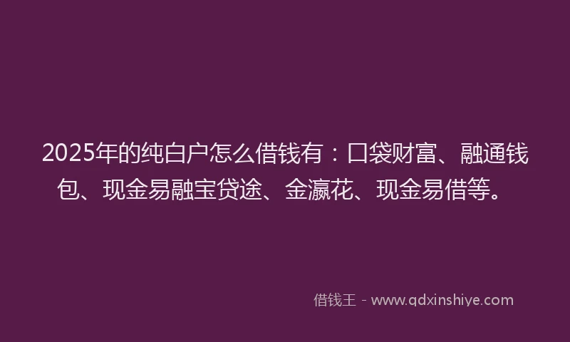 2025年的纯白户怎么借钱有：口袋财富、融通钱包、现金易融宝贷途、金瀛花、现金易借等。