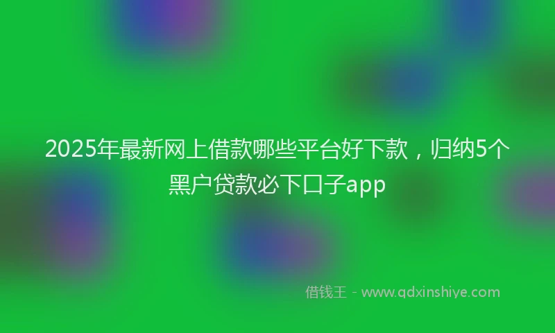 2025年最新网上借款哪些平台好下款，归纳5个黑户贷款必下口子app
