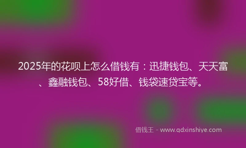 2025年的花呗上怎么借钱有：迅捷钱包、天天富、鑫融钱包、58好借、钱袋速贷宝等。