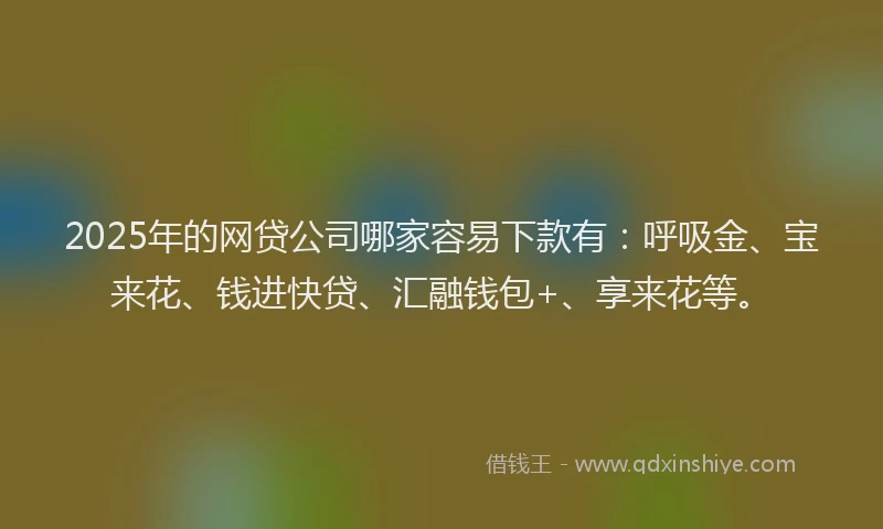 2025年的网贷公司哪家容易下款有：呼吸金、宝来花、钱进快贷、汇融钱包+、享来花等。