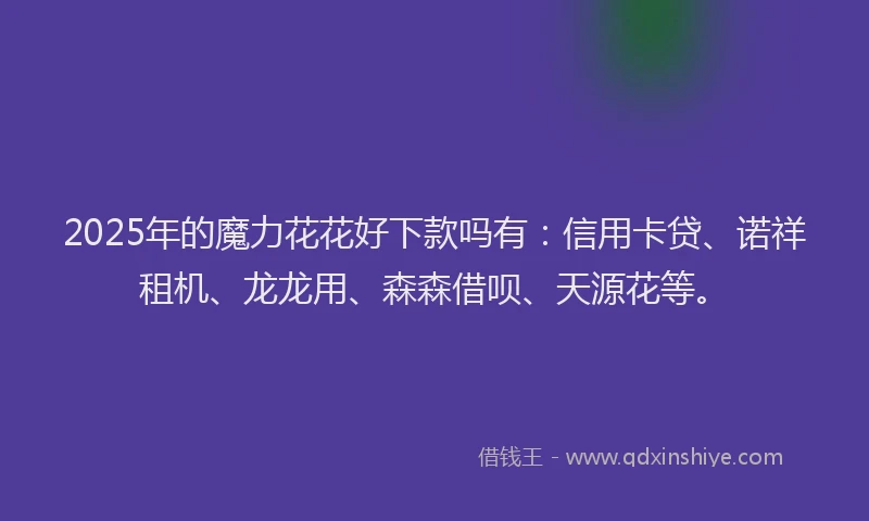 2025年的魔力花花好下款吗有：信用卡贷、诺祥租机、龙龙用、森森借呗、天源花等。