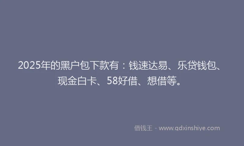 2025年的黑户包下款有：钱速达易、乐贷钱包、现金白卡、58好借、想借等。