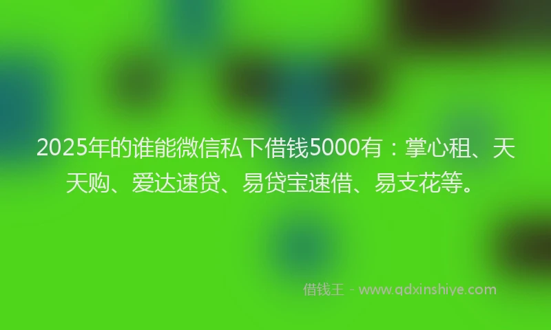 2025年的谁能微信私下借钱5000有：掌心租、天天购、爱达速贷、易贷宝速借、易支花等。