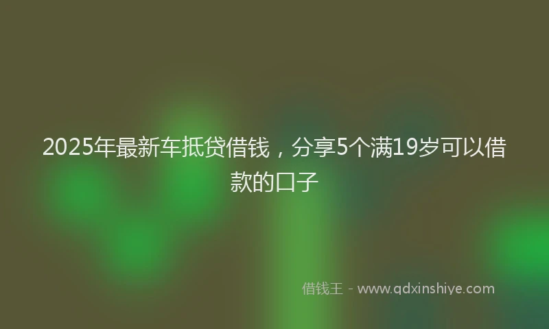 2025年最新车抵贷借钱，分享5个满19岁可以借款的口子