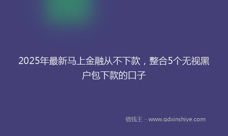 2025年最新马上金融从不下款，整合5个无视黑户包下款的口子