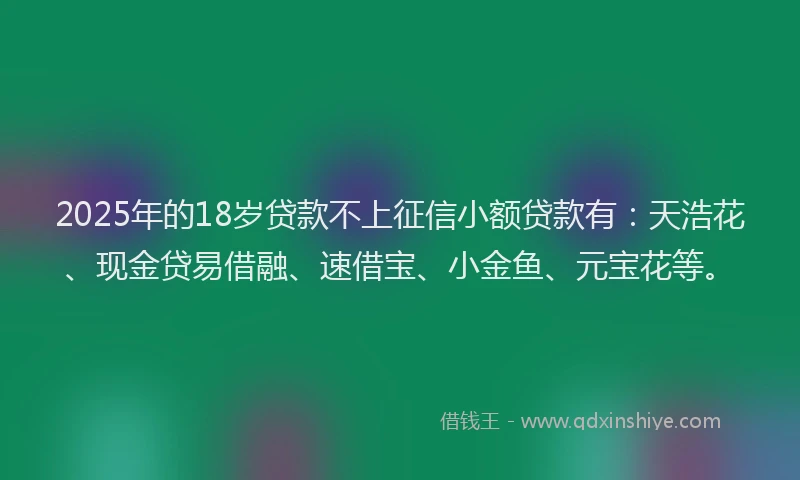 2025年的18岁贷款不上征信小额贷款有：天浩花、现金贷易借融、速借宝、小金鱼、元宝花等。
