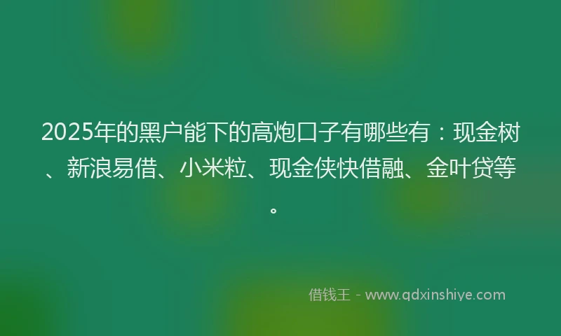 2025年的黑户能下的高炮口子有哪些有：现金树、新浪易借、小米粒、现金侠快借融、金叶贷等。