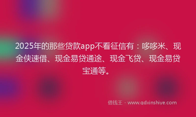 2025年的那些贷款app不看征信有：哆哆米、现金侠速借、现金易贷通途、现金飞贷、现金易贷宝通等。