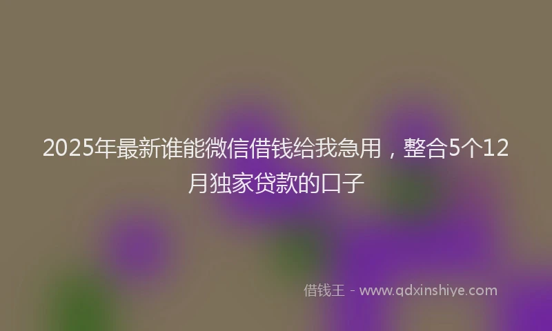 2025年最新谁能微信借钱给我急用，整合5个12月独家贷款的口子