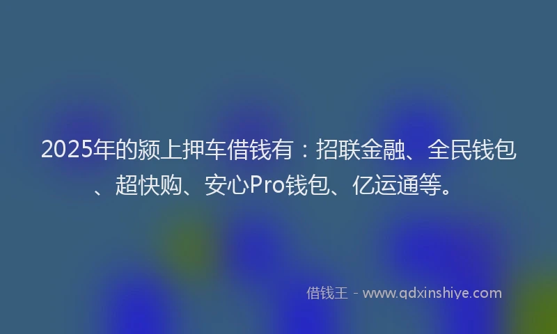 2025年的颍上押车借钱有：招联金融、全民钱包、超快购、安心Pro钱包、亿运通等。