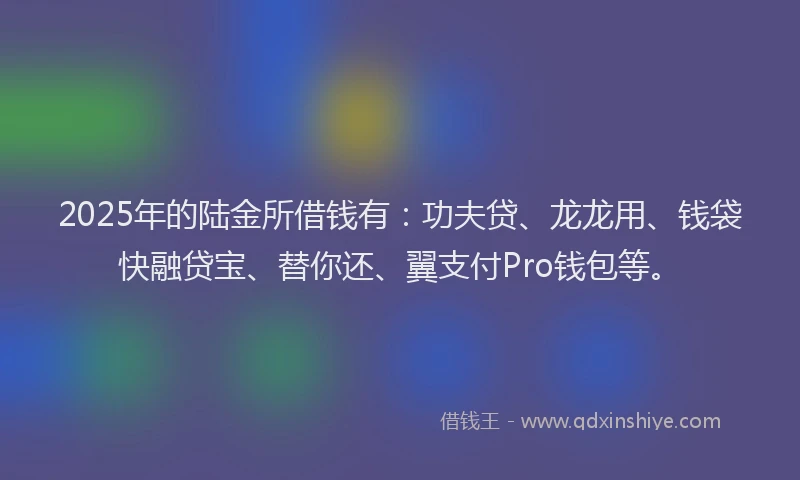 2025年的陆金所借钱有：功夫贷、龙龙用、钱袋快融贷宝、替你还、翼支付Pro钱包等。