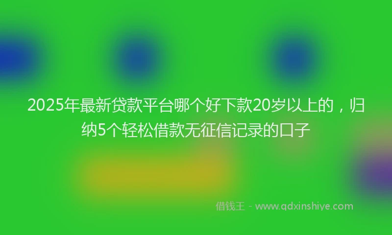 2025年最新贷款平台哪个好下款20岁以上的，归纳5个轻松借款无征信记录的口子