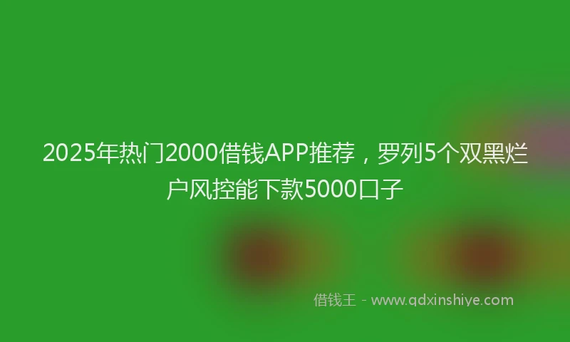2025年热门2000借钱APP推荐，罗列5个双黑烂户风控能下款5000口子