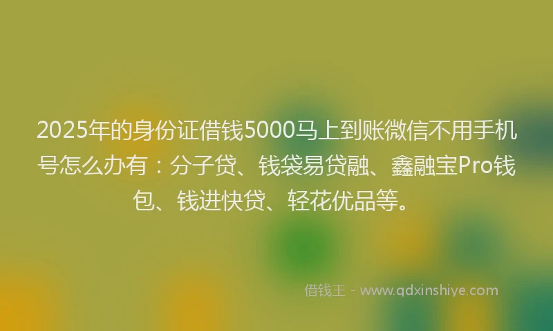 2025年的身份证借钱5000马上到账微信不用手机号怎么办有：分子贷、钱袋易贷融、鑫融宝Pro钱包、钱进快贷、轻花优品等。