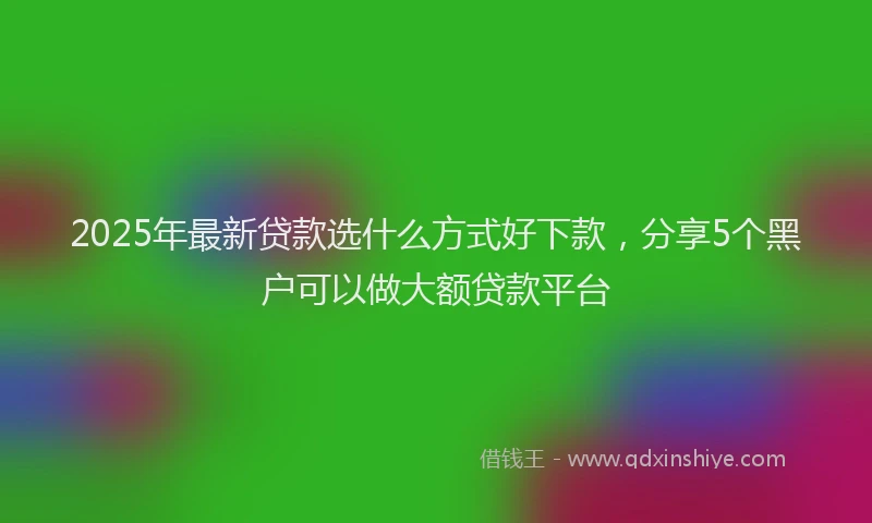2025年最新贷款选什么方式好下款，分享5个黑户可以做大额贷款平台