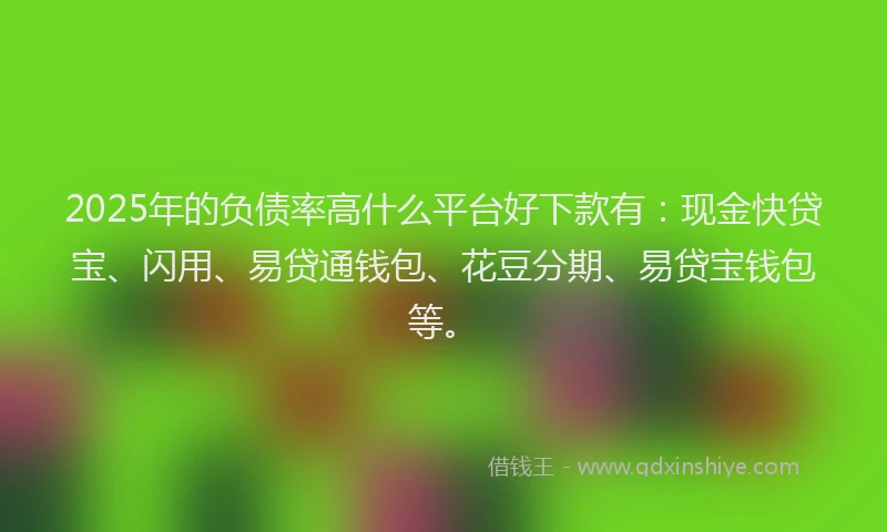 2025年的负债率高什么平台好下款有：现金快贷宝、闪用、易贷通钱包、花豆分期、易贷宝钱包等。