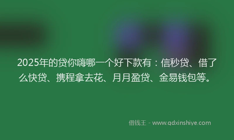 2025年的贷你嗨哪一个好下款有：信秒贷、借了么快贷、携程拿去花、月月盈贷、金易钱包等。