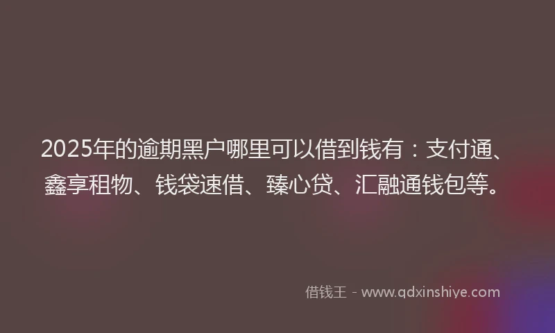 2025年的逾期黑户哪里可以借到钱有：支付通、鑫享租物、钱袋速借、臻心贷、汇融通钱包等。