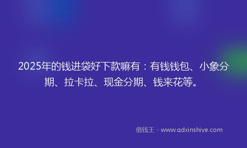 2025年的钱进袋好下款嘛有：有钱钱包、小象分期、拉卡拉、现金分期、钱来花等。