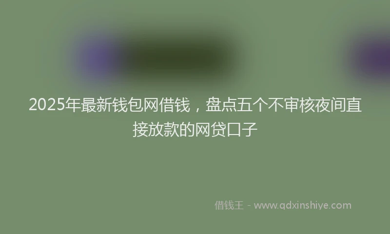 2025年最新钱包网借钱，盘点五个不审核夜间直接放款的网贷口子