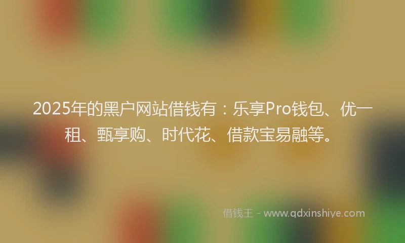 2025年的黑户网站借钱有：乐享Pro钱包、优一租、甄享购、时代花、借款宝易融等。