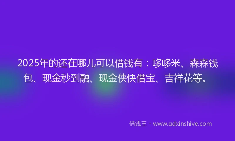 2025年的还在哪儿可以借钱有：哆哆米、森森钱包、现金秒到融、现金侠快借宝、吉祥花等。