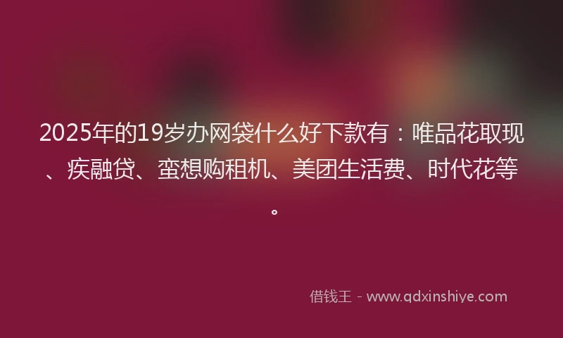 2025年的19岁办网袋什么好下款有：唯品花取现、疾融贷、蛮想购租机、美团生活费、时代花等。