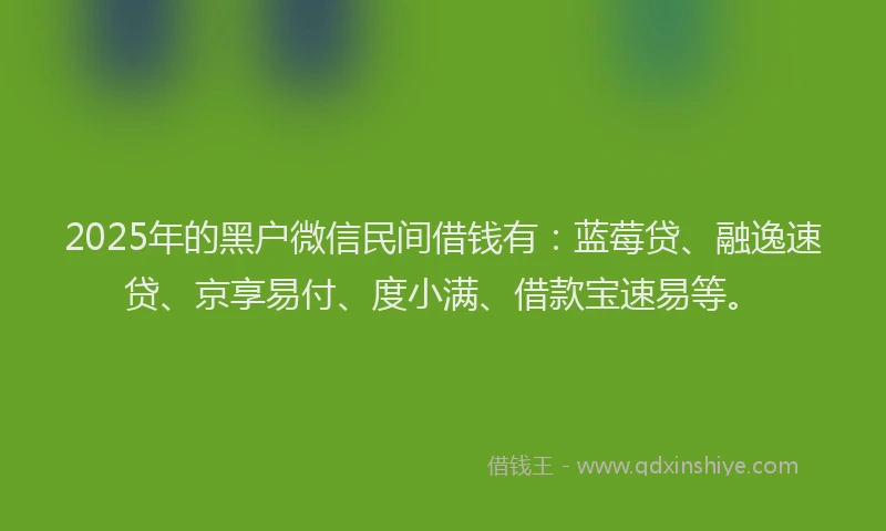 2025年的黑户微信民间借钱有：蓝莓贷、融逸速贷、京享易付、度小满、借款宝速易等。