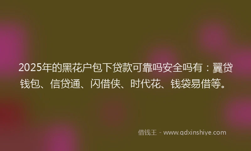 2025年的黑花户包下贷款可靠吗安全吗有：翼贷钱包、信贷通、闪借侠、时代花、钱袋易借等。