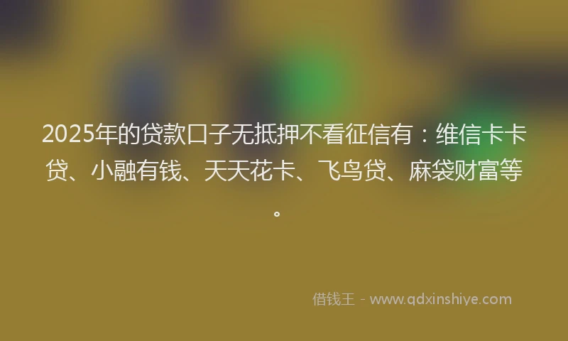 2025年的贷款口子无抵押不看征信有：维信卡卡贷、小融有钱、天天花卡、飞鸟贷、麻袋财富等。